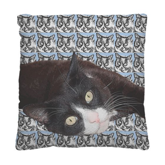 pop art pillow cat