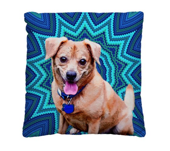 pop art pup pillow